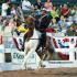 Speed Racking at the Germantown Charity Horse Show